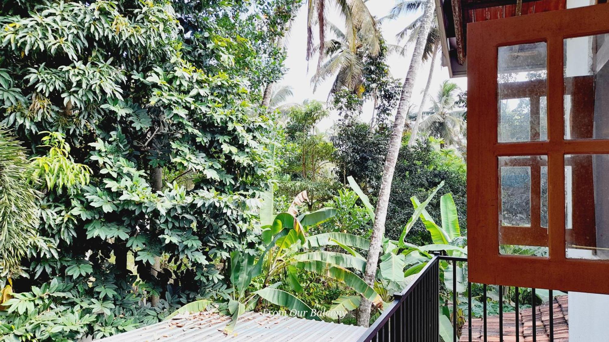 Le Meridien Bnb For Foreign Travelers Negombo Dış mekan fotoğraf