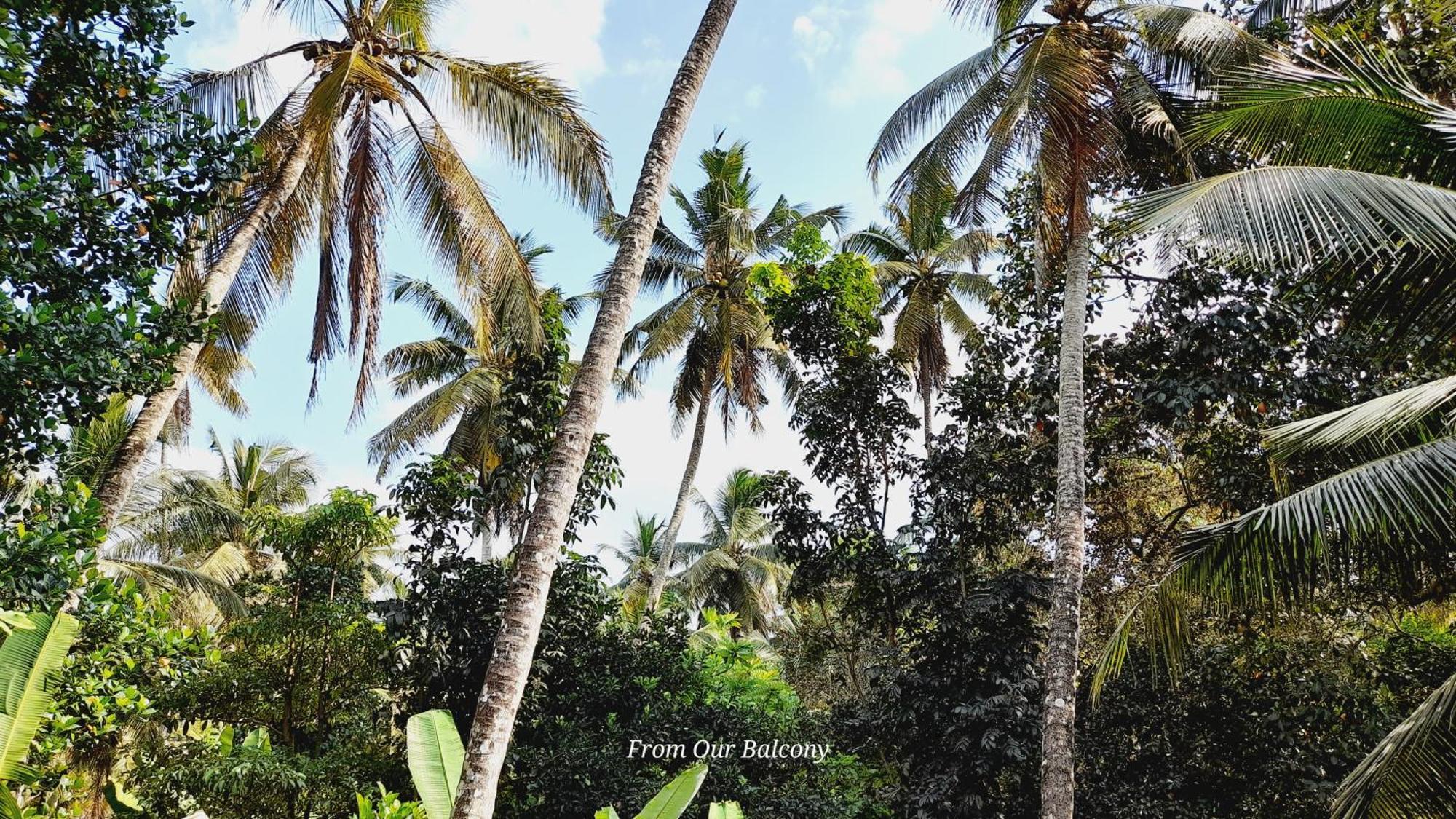Le Meridien Bnb For Foreign Travelers Negombo Dış mekan fotoğraf
